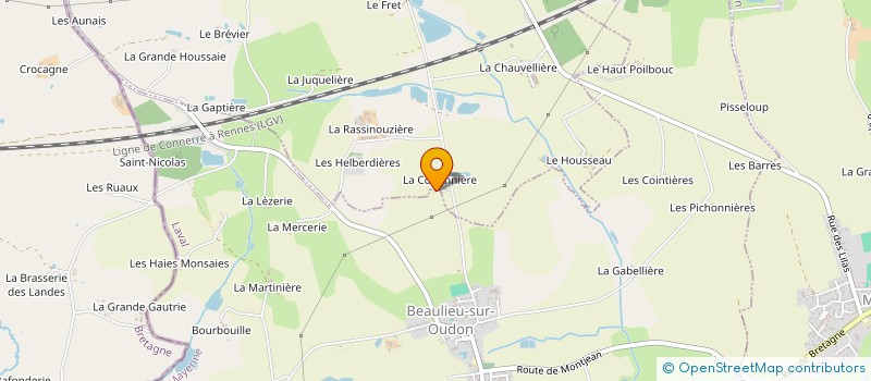 localisation de l'entreprise MADAME MARIE JOSEPHE BREJUIN  SAINT-CYR-LE-GRAVELAIS