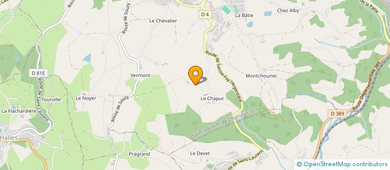 localisation de l'entreprise MADAME MARIE-JOSEPHE CONY à SAINT-LAURENT-DE-CHAMOUSSET