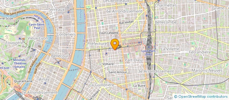 localisation de l'entreprise MADAME MARIE-JOSEPHE PETITJEAN  LYON