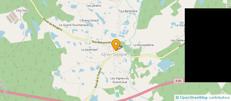 localisation de l'entreprise MADAME MARIE JOUSSELIN à GY-EN-SOLOGNE