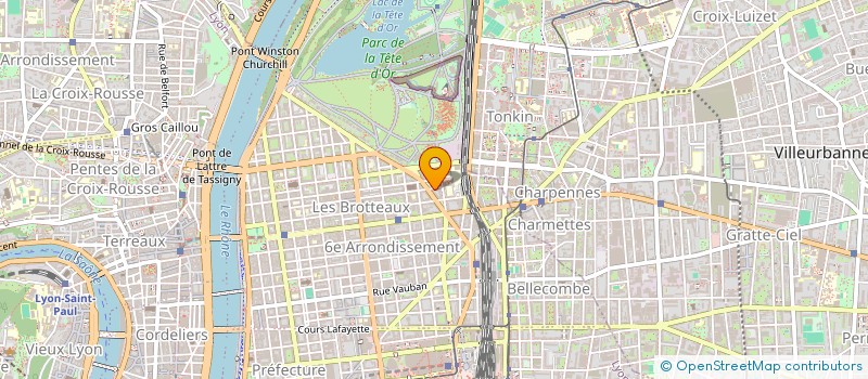 localisation de l'entreprise MADAME MARIE JULIE BRAZEY à LYON