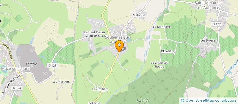 localisation de l'entreprise MADAME MARIE JUNG à SOULAINES-SUR-AUBANCE