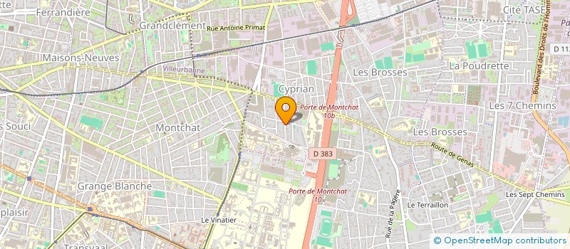 localisation de l'entreprise MADAME MARIE LAFOSSE  BRON