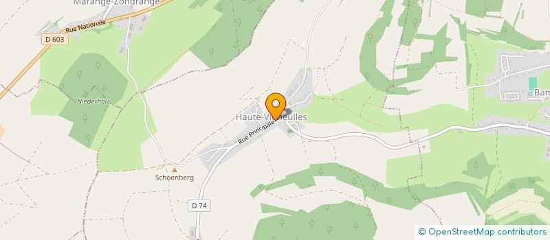 localisation de l'entreprise MADAME MARIE LANG  MARANGE-ZONDRANGE