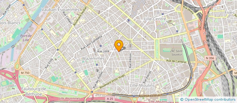 localisation de l'entreprise MADAME MARIE LANGLOIS à LILLE