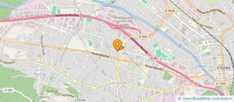 localisation de l'entreprise MADAME MARIE LAURE ELSENER  SCIONZIER