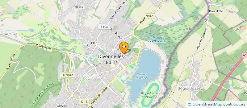 localisation de l'entreprise MADAME MARIE LAURE LASRY  DIVONNE-LES-BAINS