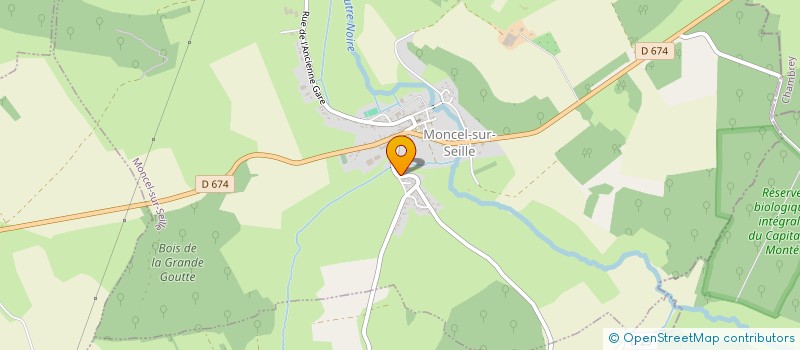 localisation de l'entreprise MADAME MARIE-LAURE MONIN  MONCEL-SUR-SEILLE