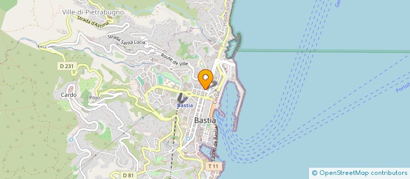 localisation de l'entreprise MADAME MARIE LEONETTI à BASTIA