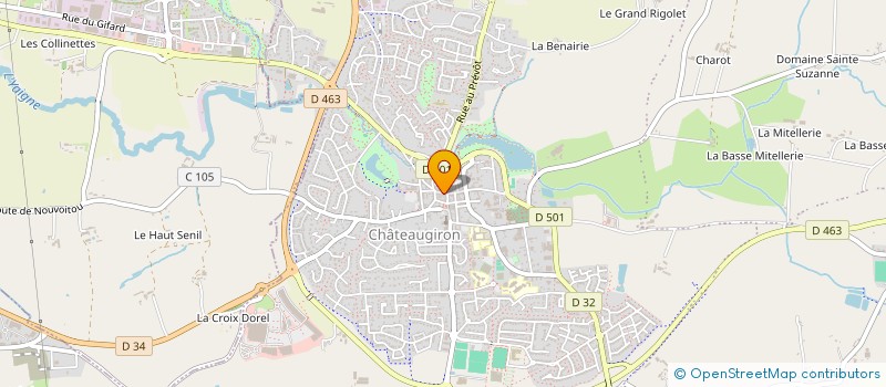 localisation de l'entreprise MADAME MARIE LIARD  CHATEAUGIRON