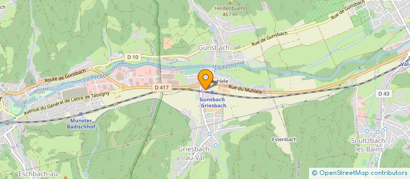 localisation de l'entreprise MADAME MARIE LICHTENSTEGER  GRIESBACH-AU-VAL