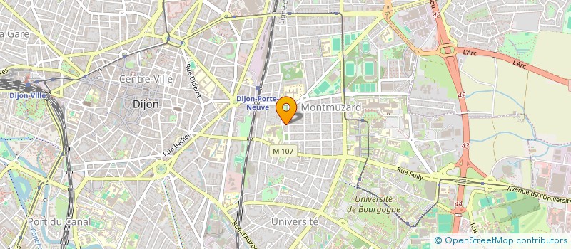 localisation de l'entreprise MADAME MARIE-LOU MORISS  DIJON