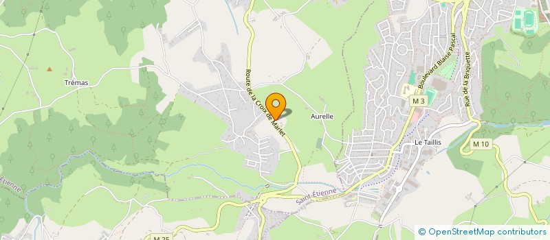 localisation de l'entreprise MADAME MARIE-LOUISE BOURGIN  SAINT-ETIENNE