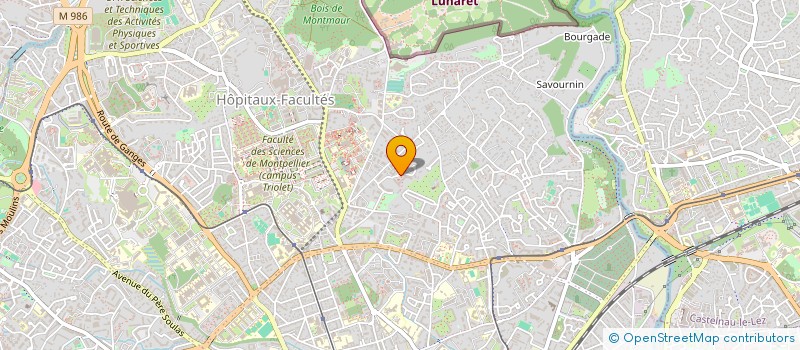 localisation de l'entreprise MADAME MARIE LOURY à MONTPELLIER