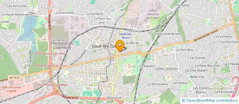 localisation de l'entreprise MADAME MARIE-LUCE LASFARGUES  JOUE-LES-TOURS