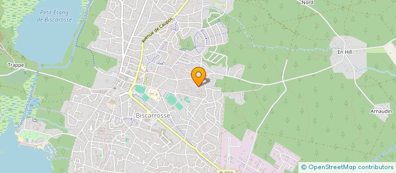 localisation de l'entreprise MADAME MARIE-LUCIE DUMARTIN  BISCARROSSE