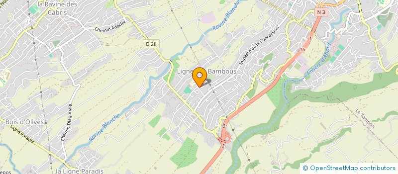 localisation de l'entreprise MADAME MARIE MANNONI  SAINT-PIERRE