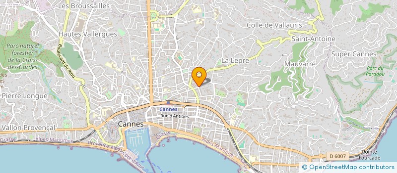 localisation de l'entreprise MADAME MARIE-MARTINE LANDEMAINE  CANNES