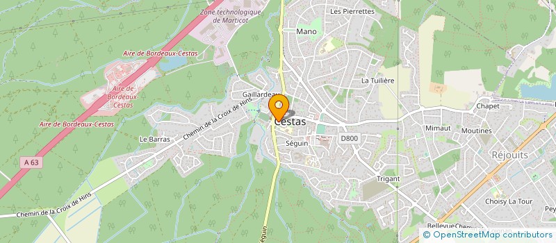 localisation de l'entreprise MADAME MARIE MAUVOISIN  CESTAS