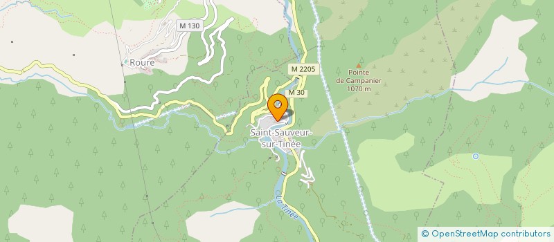 localisation de l'entreprise MADAME MARIE MENGELLE à SAINT-SAUVEUR-SUR-TINEE