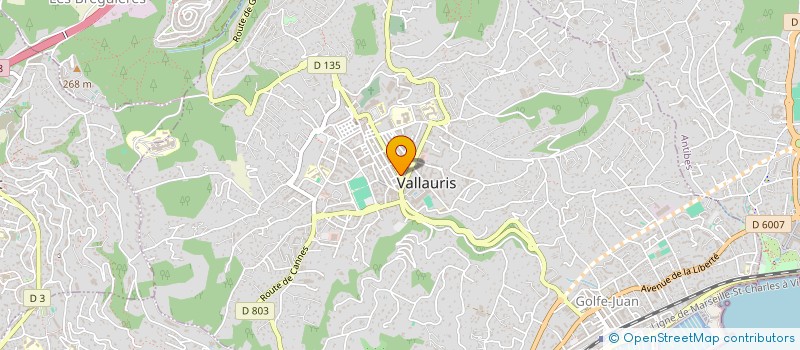 localisation de l'entreprise MADAME MARIE MENGUE à VALLAURIS
