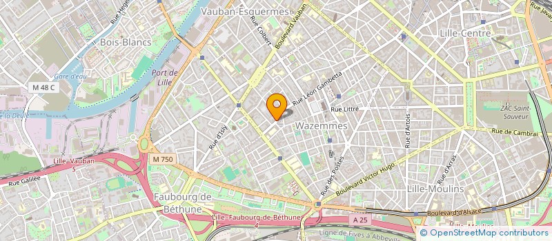localisation de l'entreprise MADAME MARIE MERGOIL à LILLE