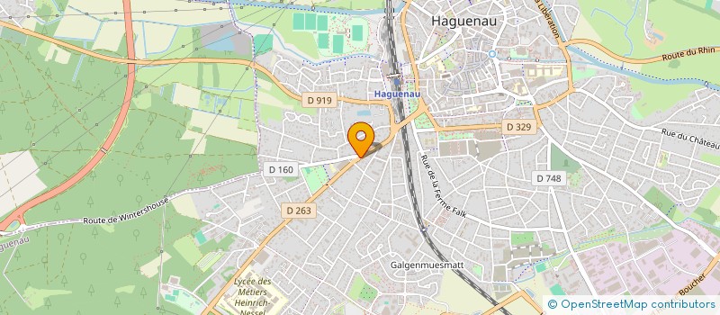 localisation de l'entreprise MADAME MARIE MICHEL  HAGUENAU