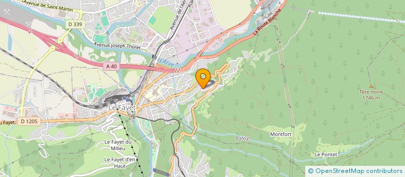 localisation de l'entreprise MADAME MARIE MIGNOT  SAINT-GERVAIS-LES-BAINS