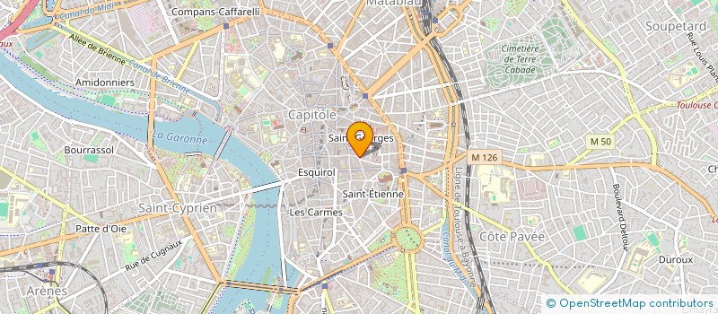 localisation de l'entreprise MADAME MARIE MONEL  TOULOUSE