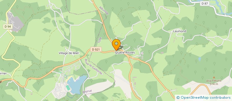 localisation de l'entreprise MADAME MARIE MUSSON  SAINT-CHAMANT