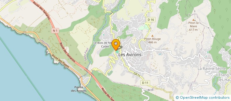 localisation de l'entreprise MADAME MARIE NAGUIN-COUPIN  LES AVIRONS