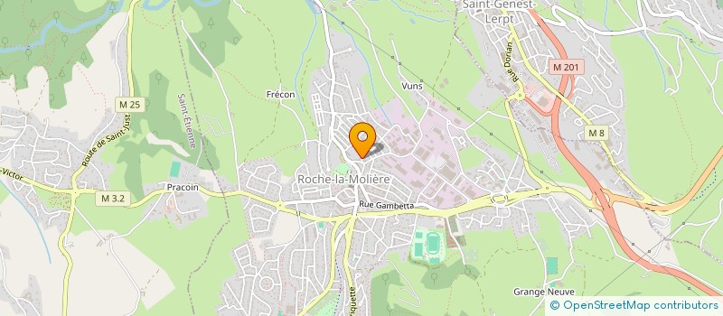 localisation de l'entreprise MADAME MARIE NANCY MANDOU  ROCHE-LA-MOLIERE