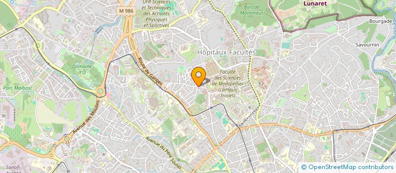localisation de l'entreprise MADAME MARIE NAPOLITANO à MONTPELLIER