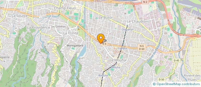 localisation de l'entreprise MADAME MARIE-NELLY LAI-WAI  SAINT-DENIS