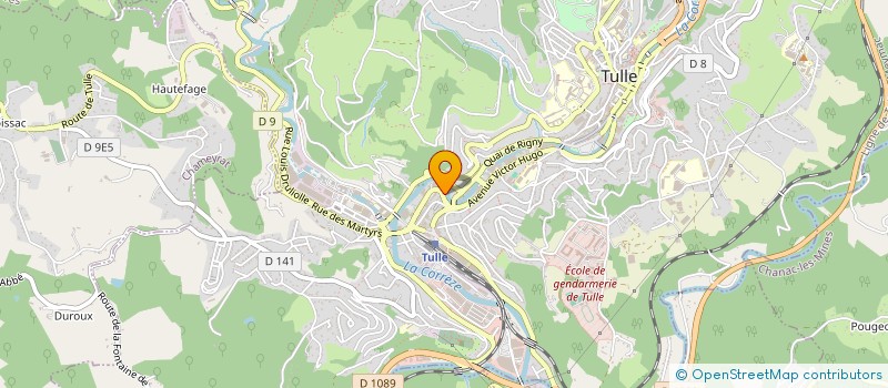 localisation de l'entreprise MADAME MARIE NELLY RENEE DESCAMPS  TULLE