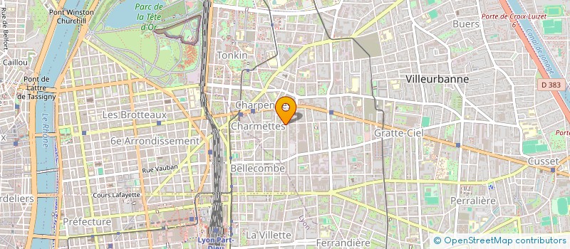 localisation de l'entreprise MADAME MARIE NGON  VILLEURBANNE