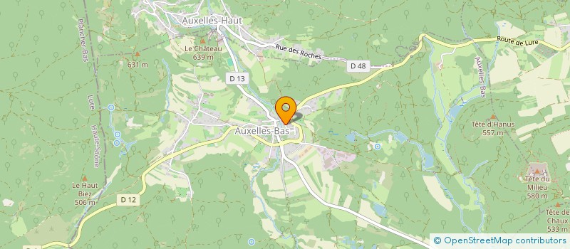 localisation de l'entreprise MADAME MARIE NGUYEN à AUXELLES-BAS