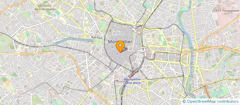 localisation de l'entreprise MADAME MARIE NGUYEN-DANG à MONTPELLIER