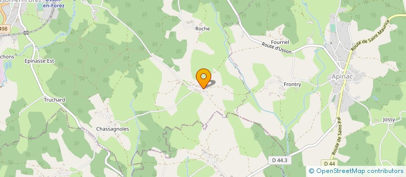 localisation de l'entreprise MADAME MARIE NOELLE CHOUVELLON  USSON-EN-FOREZ