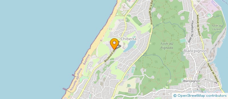 localisation de l'entreprise MADAME MARIE-NOELLE DOUMENGINE  ANGLET