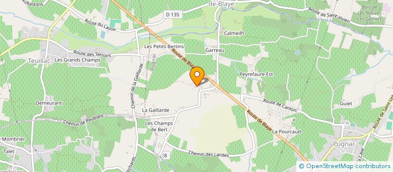 localisation de l'entreprise MADAME MARIE-NOELLE DUBOIS  PUGNAC