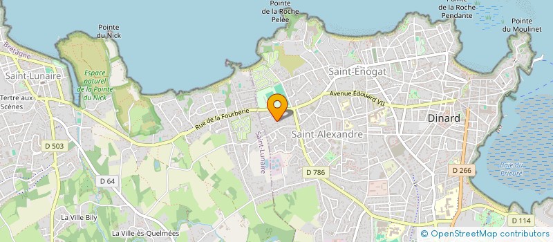 localisation de l'entreprise MADAME MARIE-NOELLE LOISEL  DINARD