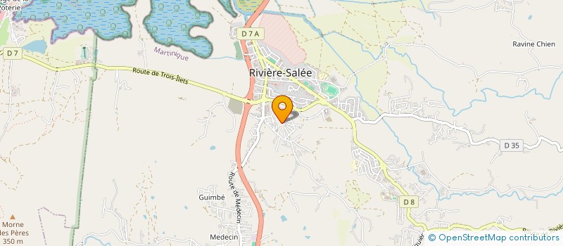 localisation de l'entreprise MADAME MARIE-NOELLE THIMON  RIVIERE-SALEE