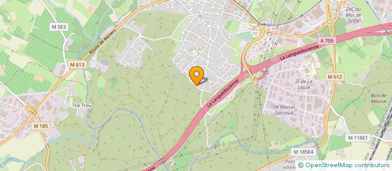 localisation de l'entreprise MADAME MARIE OCHOA  SAINT-JEAN-DE-VEDAS