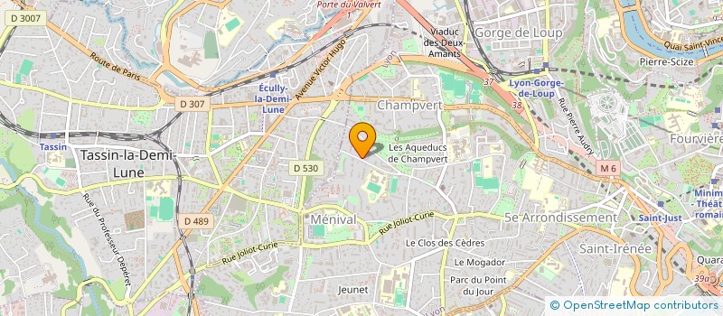 localisation de l'entreprise MADAME MARIE ODILE DAVID à LYON