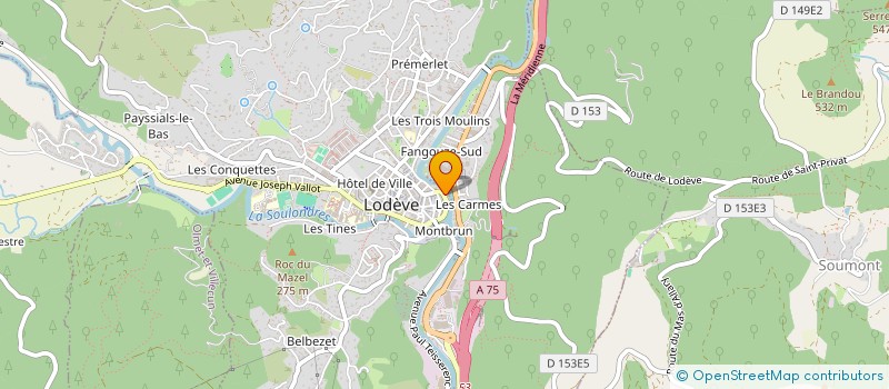 localisation de l'entreprise MADAME MARIE OLMO  LODEVE