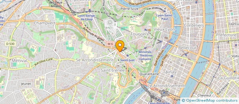 localisation de l'entreprise MADAME MARIE PACHOUD  LYON