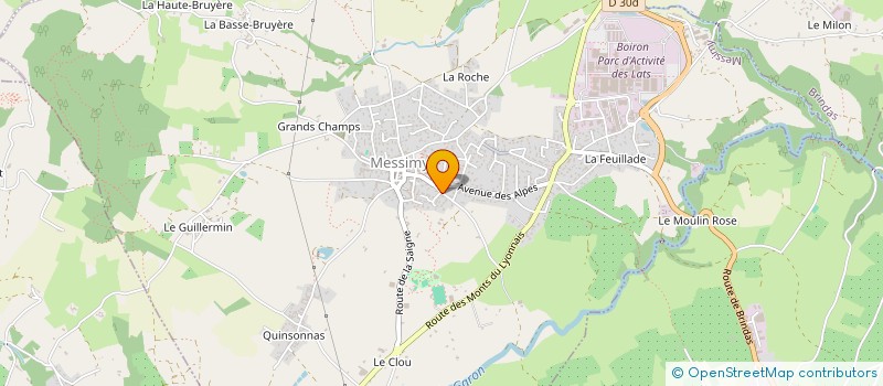 localisation de l'entreprise MADAME MARIE-PASCALE BRESSON à MESSIMY