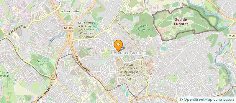 localisation de l'entreprise MADAME MARIE-PASCALE LONGATTE à MONTPELLIER