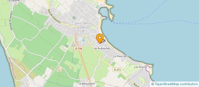 localisation de l'entreprise MADAME MARIE-PASCALE PINEAU  SAINT-DENIS-D'OLERON